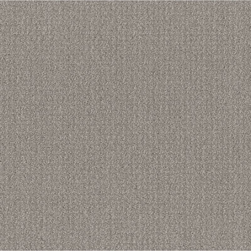 Shaw Floors Roll Special Xy337 Steel Beam