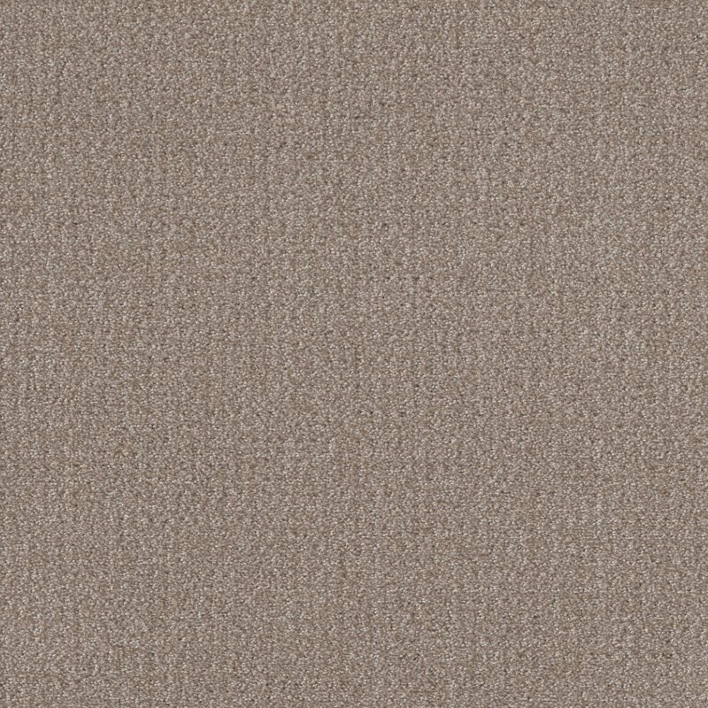 Shaw Floors Roll Special Xy337 Simply Tan