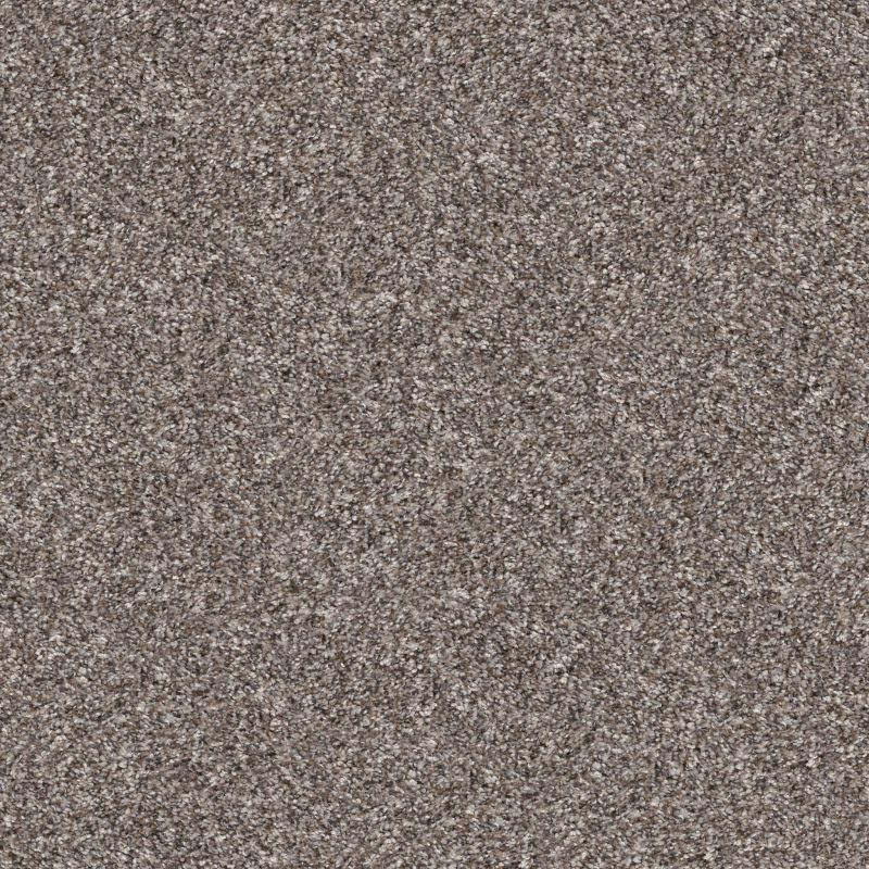 Shaw Floors Roll Special Xy350 Alaskan Air