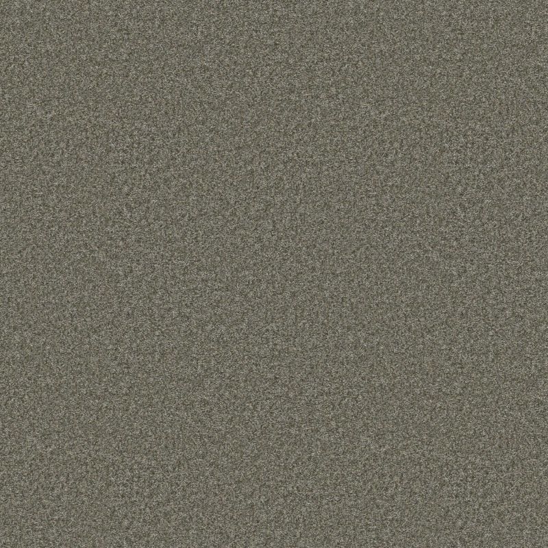 Shaw Floors Roll Special Xy352 Rerooted Nature