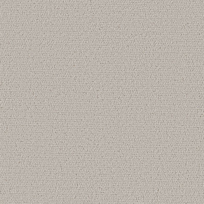 Shaw Floors Roll Special Xy362 Cashmere