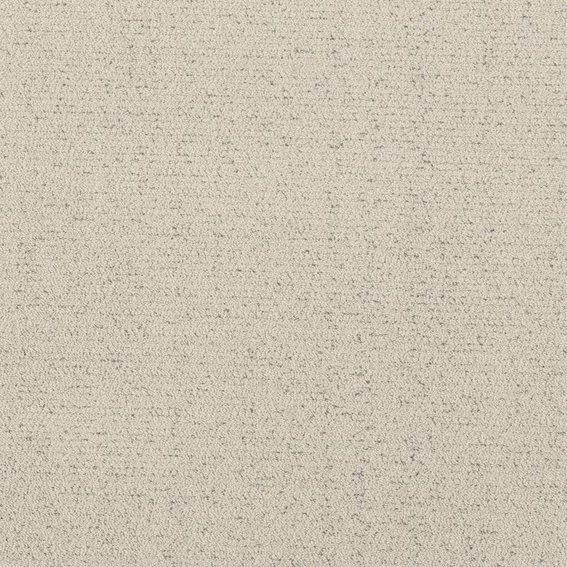 Shaw Floors Roll Special Xy362 Snowfall