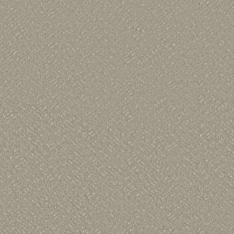 Shaw Floors Roll Special Xy363 Sculpture