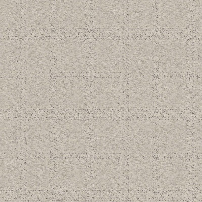 Shaw Floors Roll Special Xy364 Marble