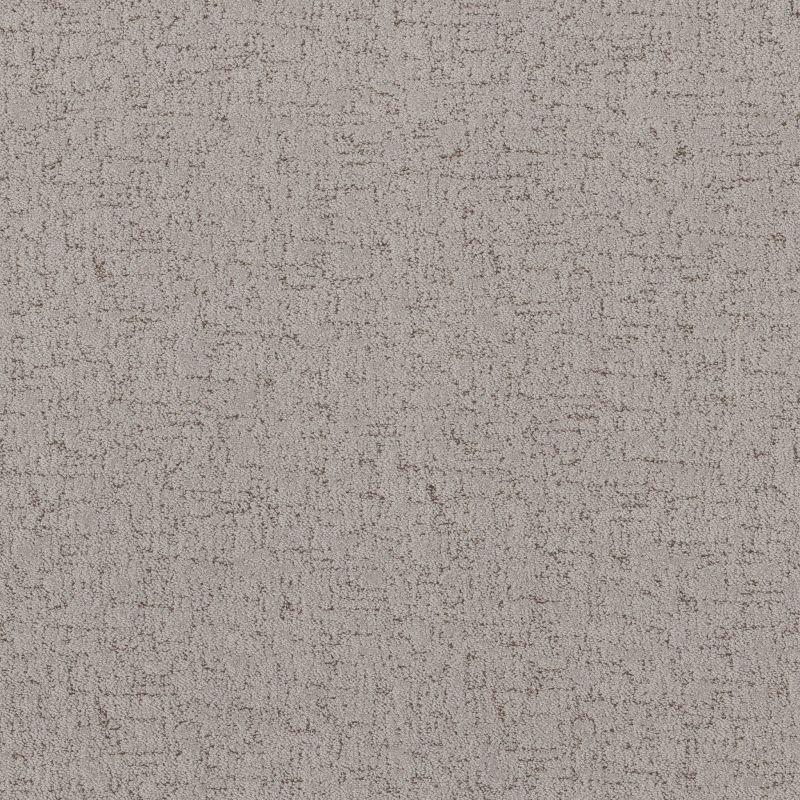 Shaw Floors Roll Special Xy365 Gravity