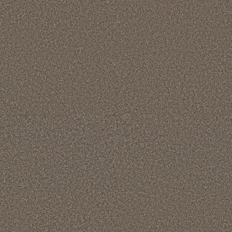 Shaw Floors Roll Special Xy367 Urban Rustic