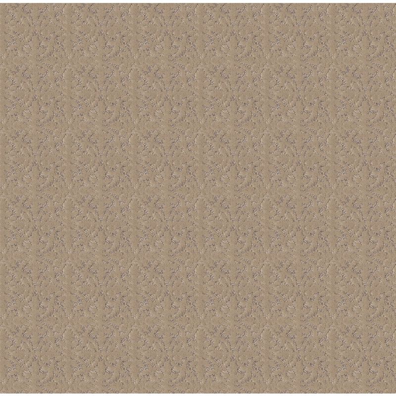 Shaw Floors Roll Special Xy369 Worn Path