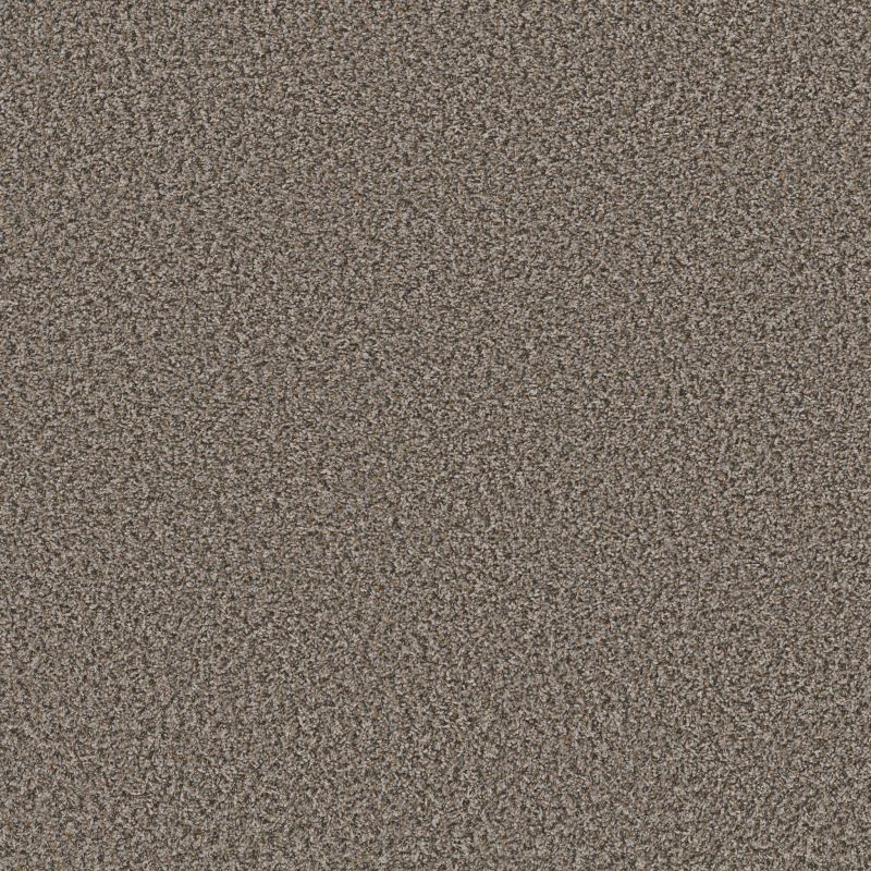 Shaw Floors Simply The Best Xy435 Boulder