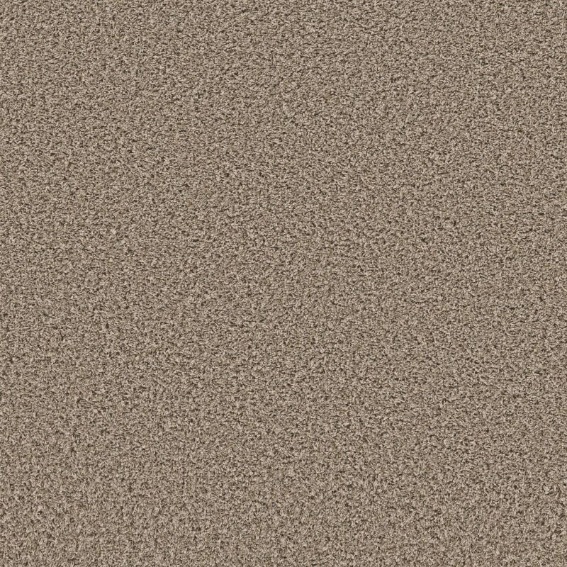 Shaw Floors Roll Special Xy437 Nature Trail