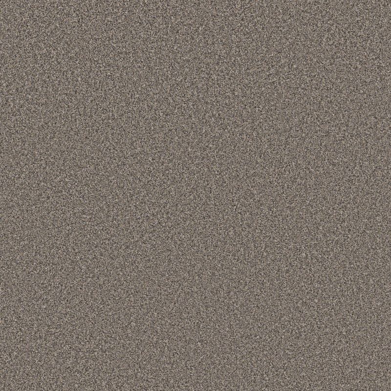 Shaw Floors Roll Special Xy442 Pier