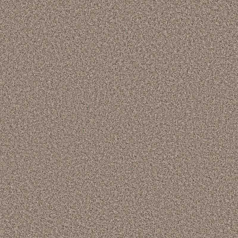 Shaw Floors Roll Special Xy443 Canoe