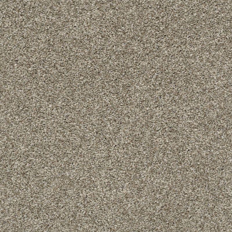 Shaw Floors Value Collections Xz010 Net Clay