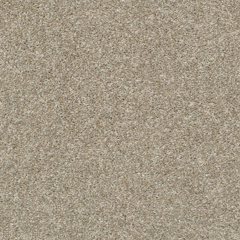 Shaw Floors Value Collections Xz011 Net Raw Wood