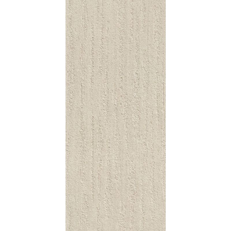 Shaw Floors Value Collections Xz013 Net Latte