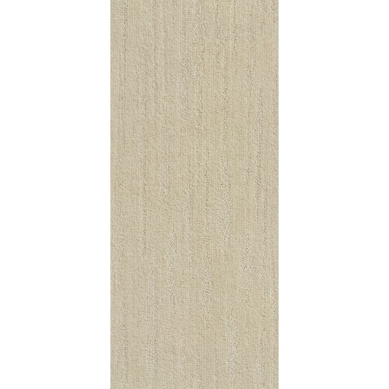 Shaw Floors Value Collections Xz013 Net Almond