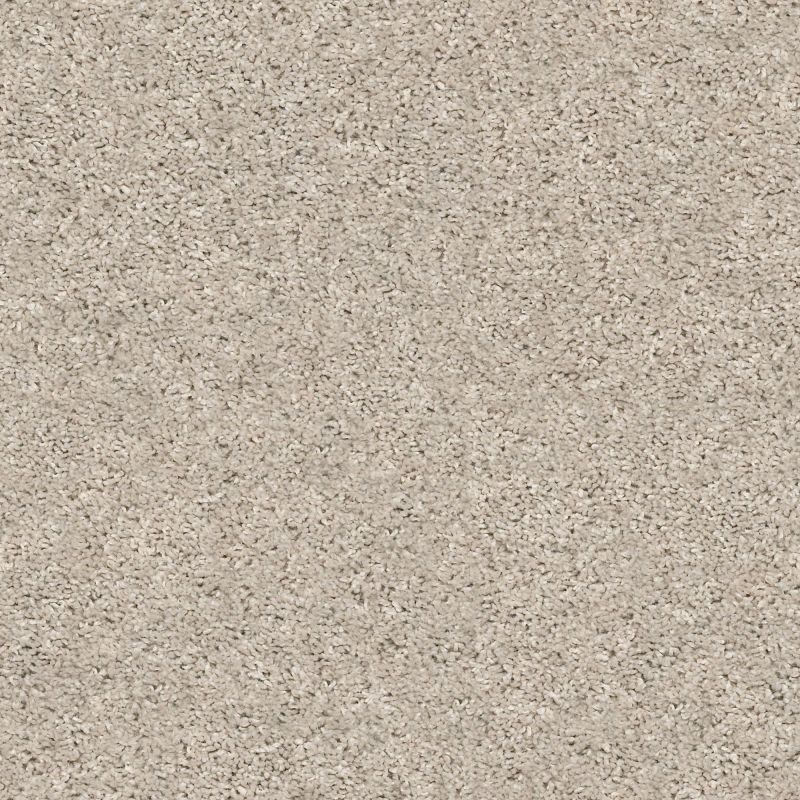 Shaw Floors Value Collections Xz020 Net Beech