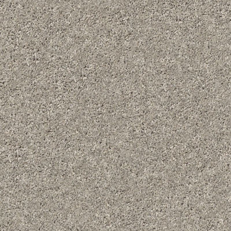 Shaw Floors Value Collections Xz020 Net Cement