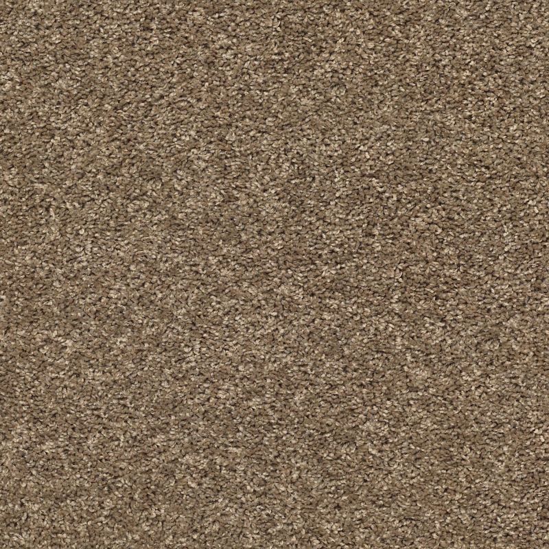 Shaw Floors Value Collections Xz020 Net Beaver Creek