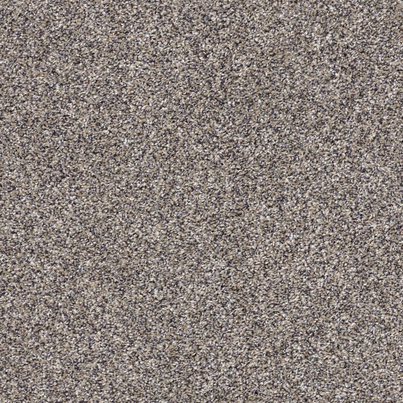 Shaw Floors Value Collections Xz143 Net Reflection