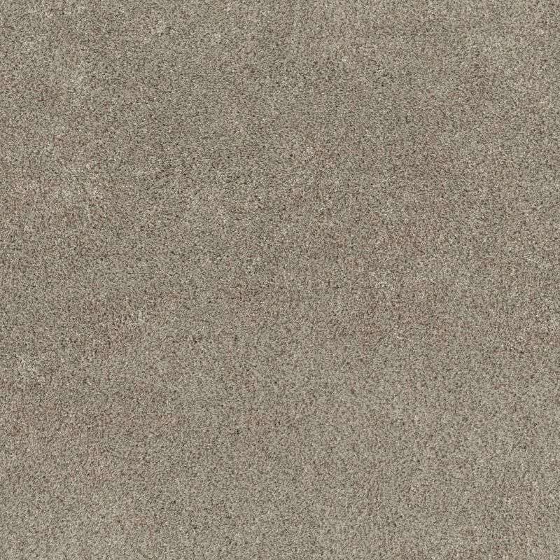 Shaw Floors Pet Perfect Plus Xz192 Desert View