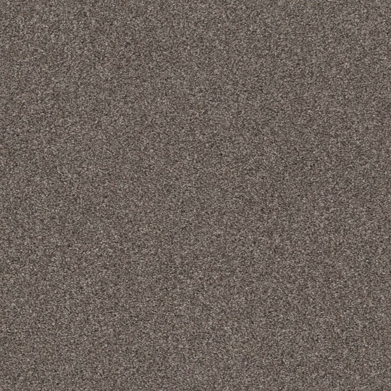 Shaw Floors Xz193 Antelope