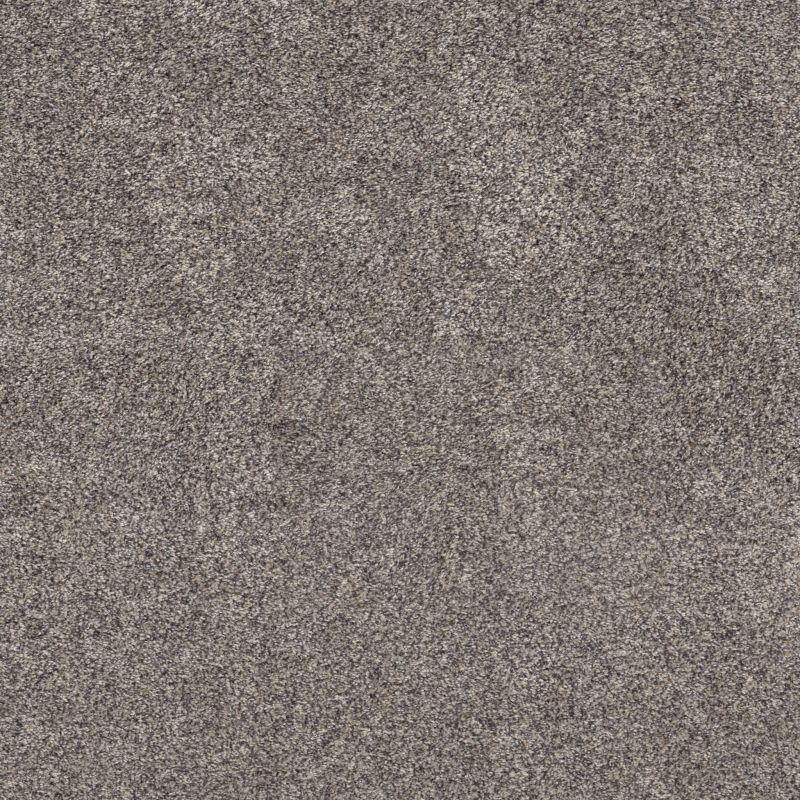 Shaw Floors Pet Perfect Plus Xz194 Shoreline