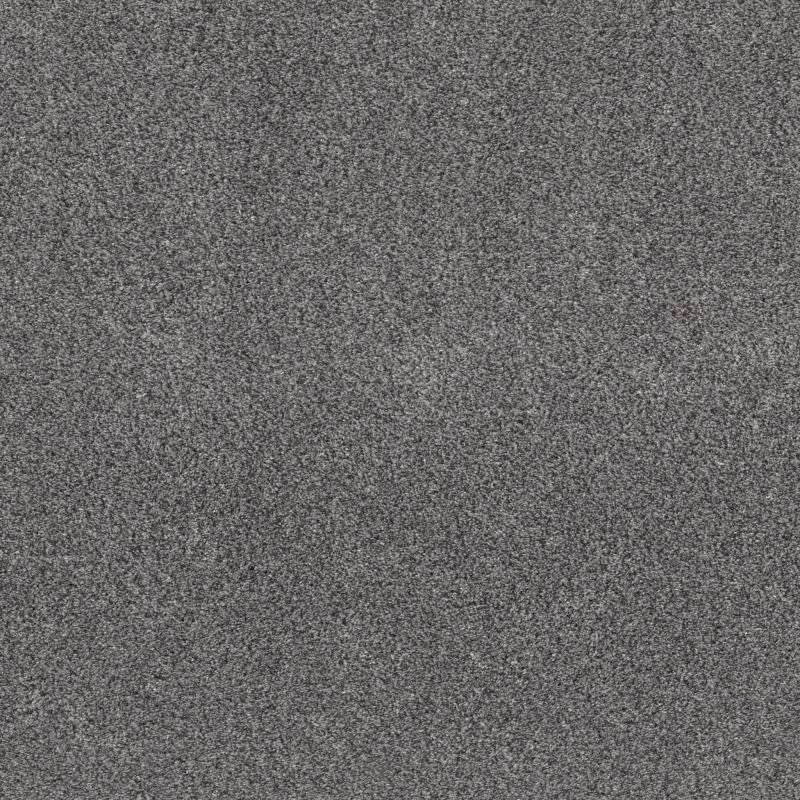 Shaw Floors Pet Perfect Plus Xz194 Silver Lining