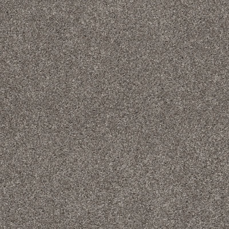 Shaw Floors Pet Perfect Plus Xz194 Newstone Haven