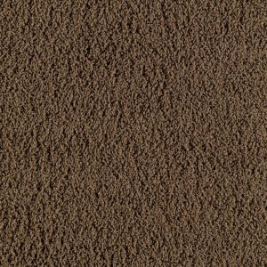 Carpet Flooring | Foothills | Great Lakes Carpet & Tile