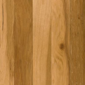 Hickory