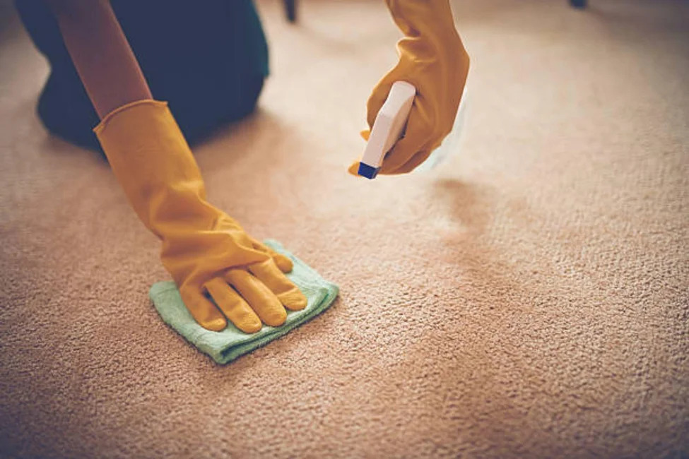 <a href='https://greatertennessee.com/flooring/flooring-101/carpet-101/how-to-clean-carpet-stains/' title='How to Clean Carpet Stains'>How to Clean Carpet Stains</a>