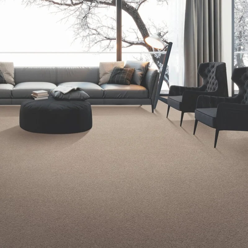 <a href='https://greatertennessee.com/flooring/flooring-101/carpet-101/karastan-smartstrand-carpet-new-styles/' title='Karastan SmartStrand Carpet: New Styles'>Karastan SmartStrand Carpet: New Styles</a>