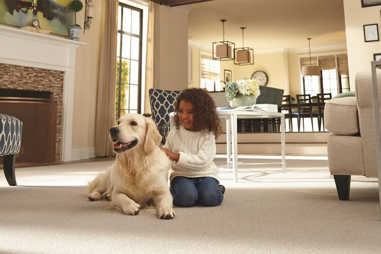 <a href='https://greatertennessee.com/flooring/flooring-101/carpet-101/how-often-should-i-vacuum/' title='How Often Should I Vacuum?'>How Often Should I Vacuum?</a>