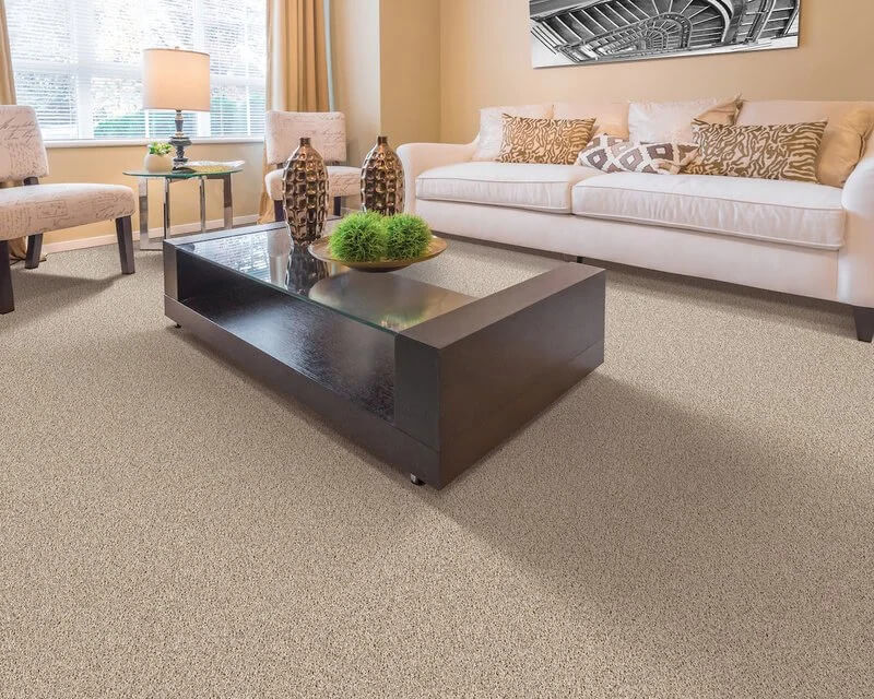 <a href='https://greatertennessee.com/flooring/flooring-101/carpet-101/how-much-carpet-do-i-need/' title='How much carpet do I need ?'>How much carpet do I need ?</a>